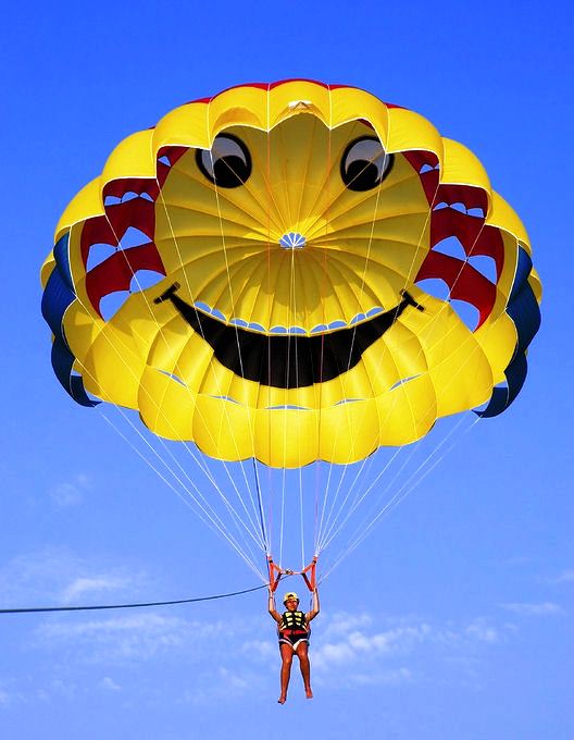  Super Trade 42 Image